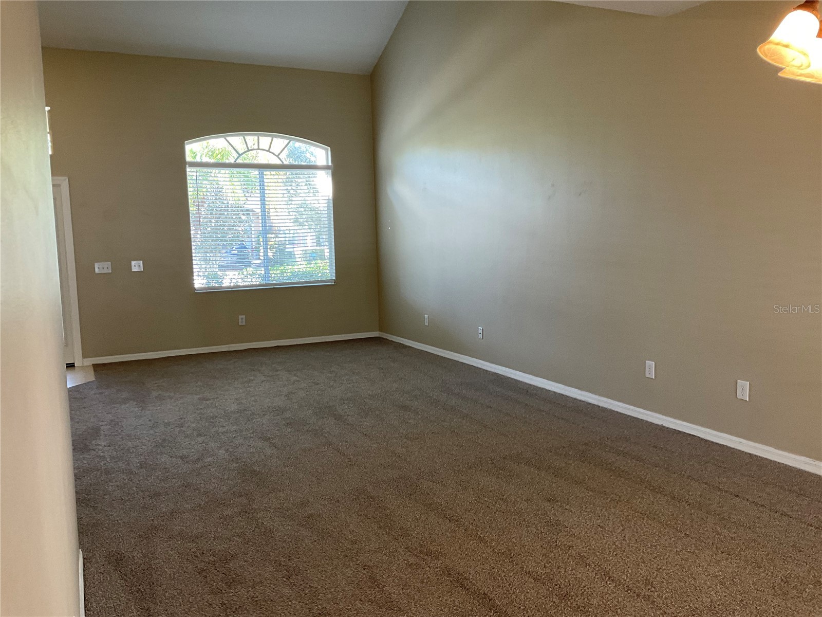  Lutz FL 33558 TB8474933 image9