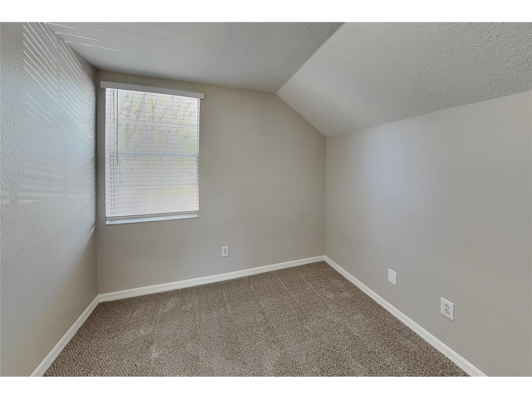  Lutz FL 33559 O6419511 image15