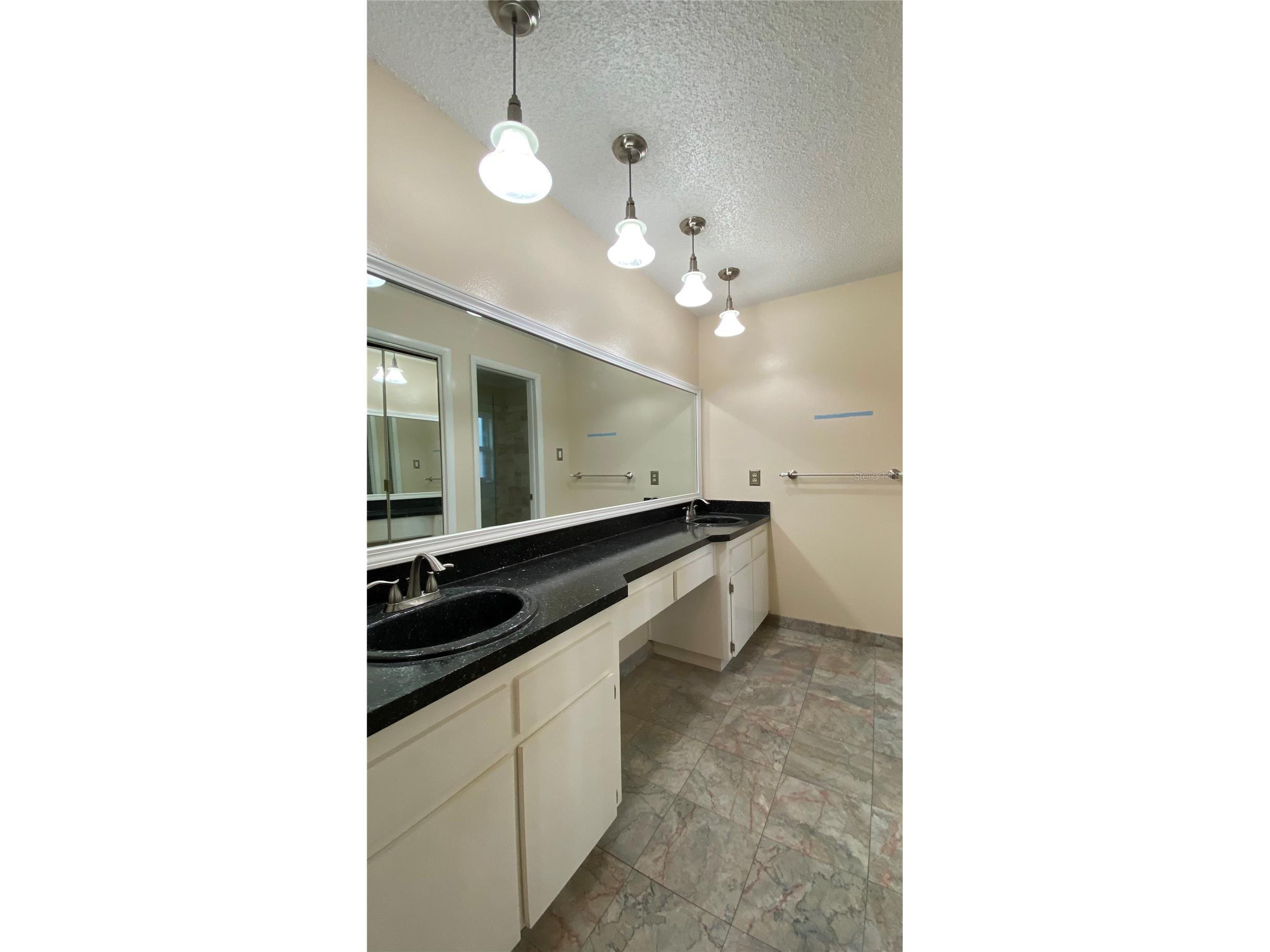  Lutz FL 33559 S5146710 image4