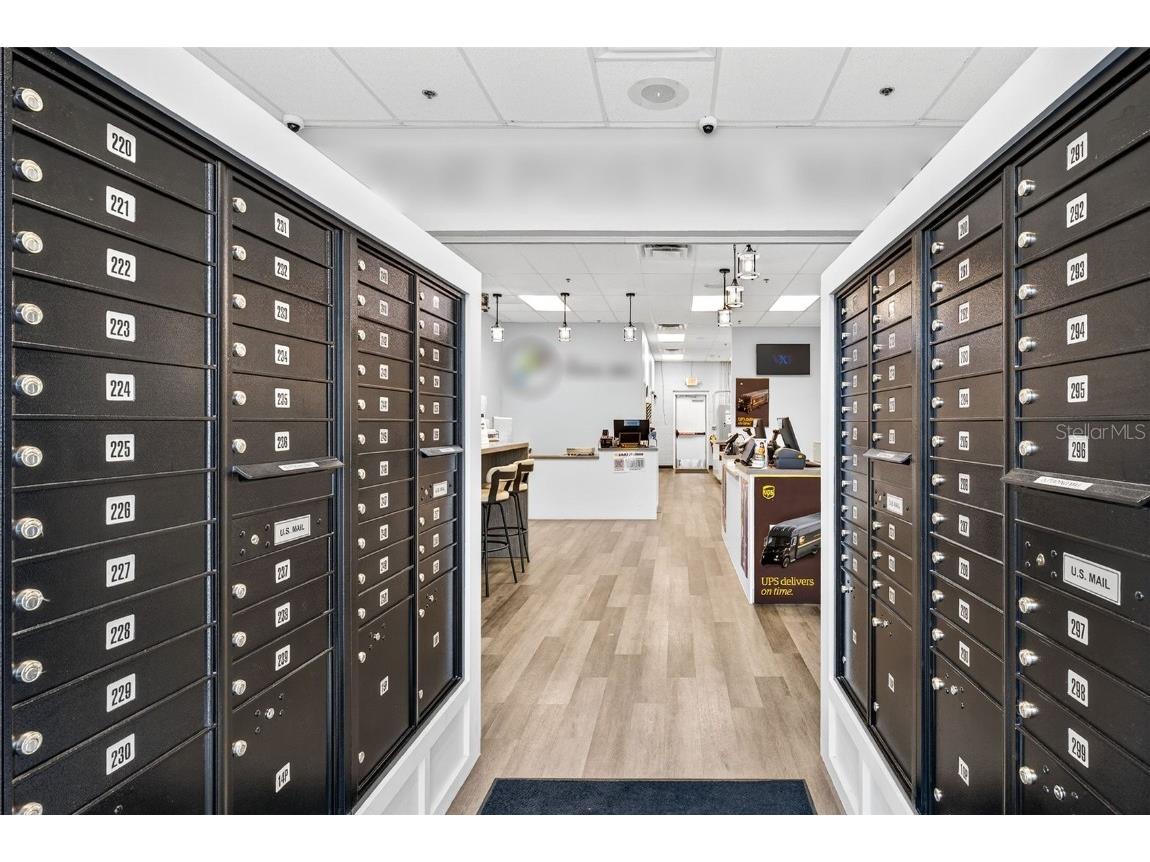  Lutz FL 33559 TB8440644 image3