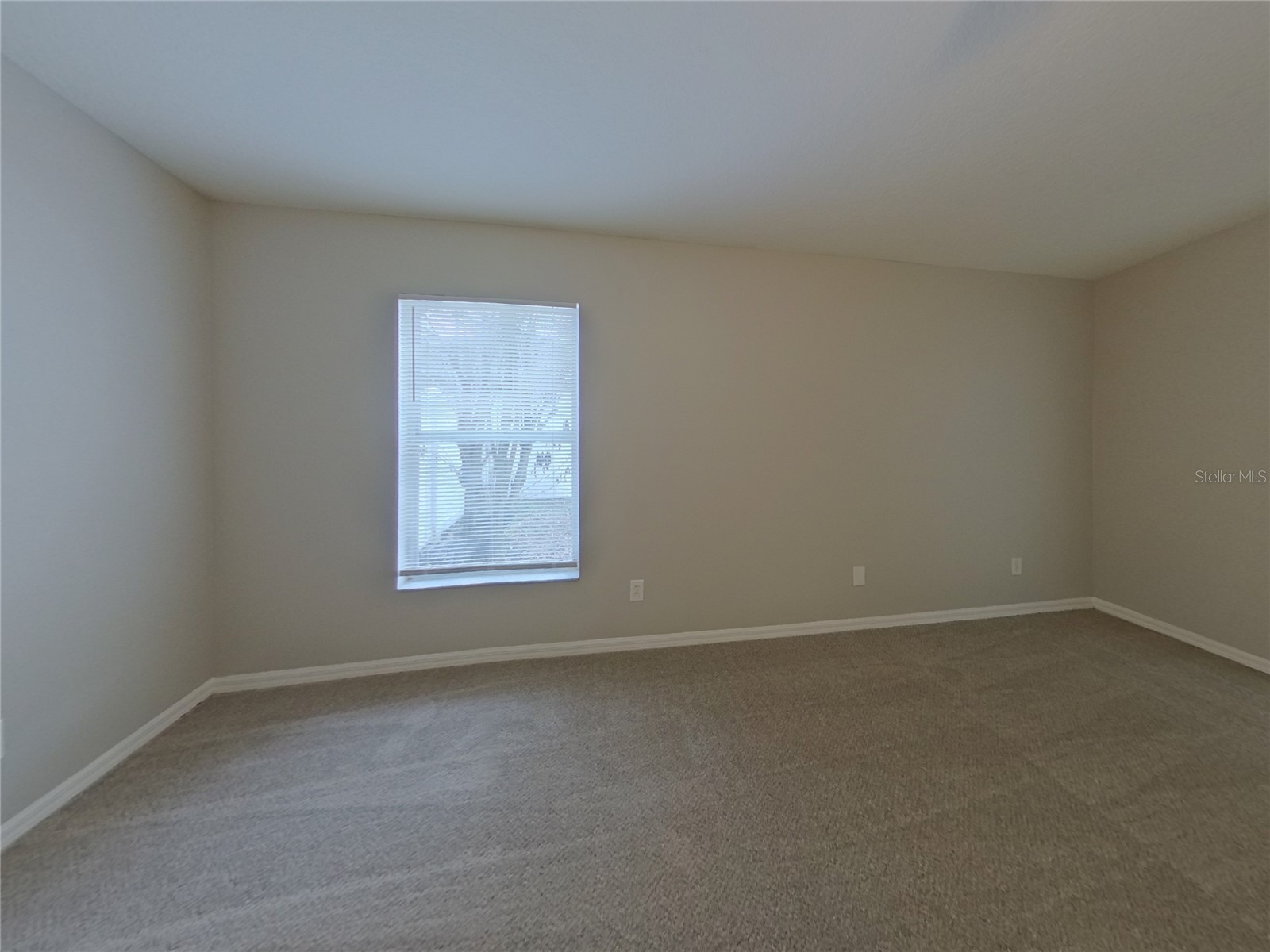  Lutz FL 33559 TB8489543 image7