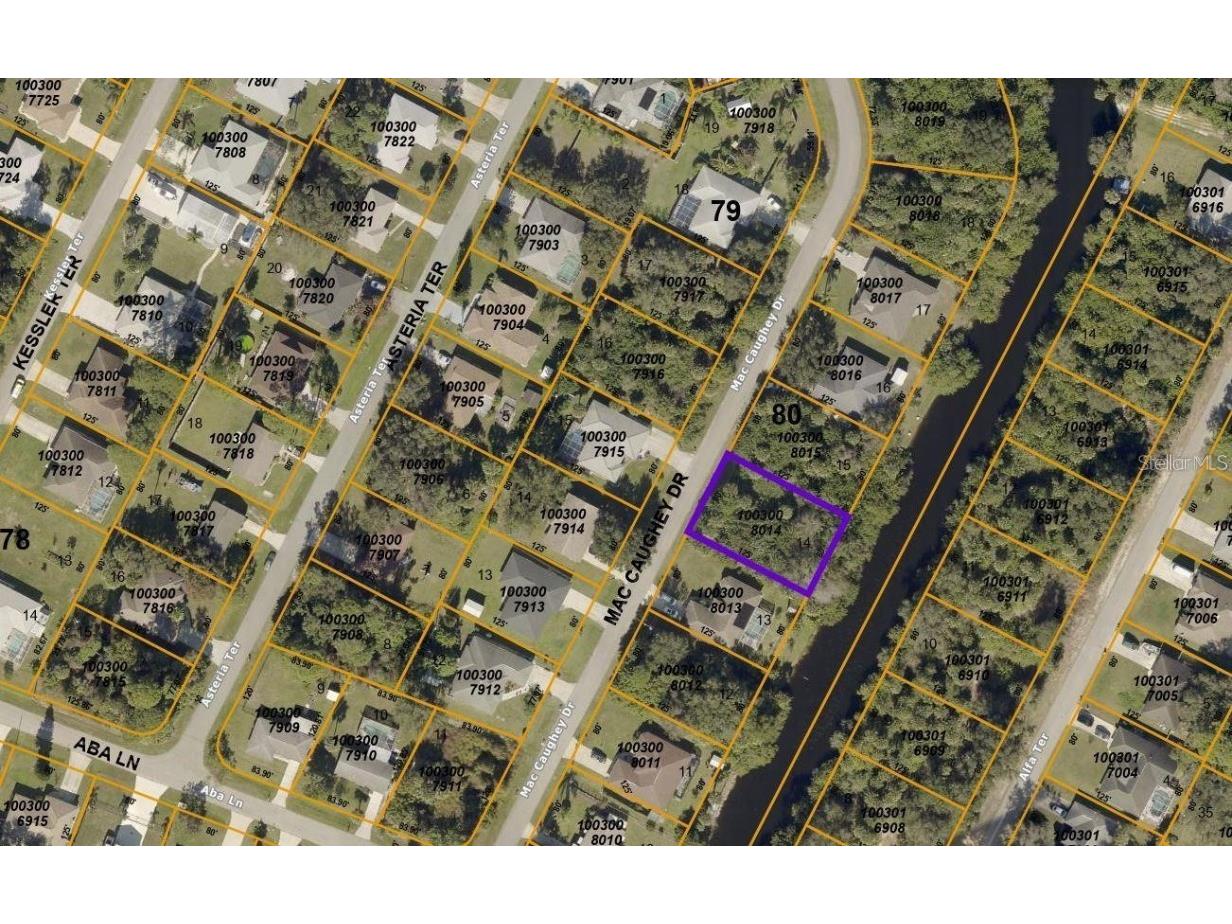 Mac Caughey Drive North Port FL 34287 N6130967 image12