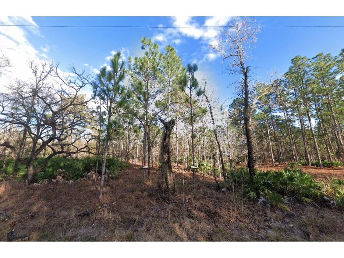 Macassar Road Weeki Wachee FL 34614 OK223616 image1
