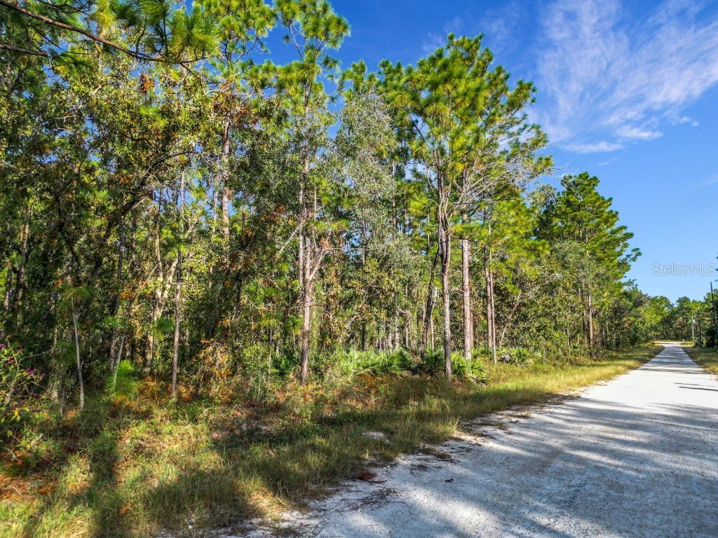 Macek Road Brooksville FL 34614 W7869594 image1