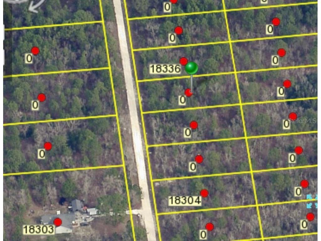 Macek Road Weeki Wachee FL 34614 O6169398 image1