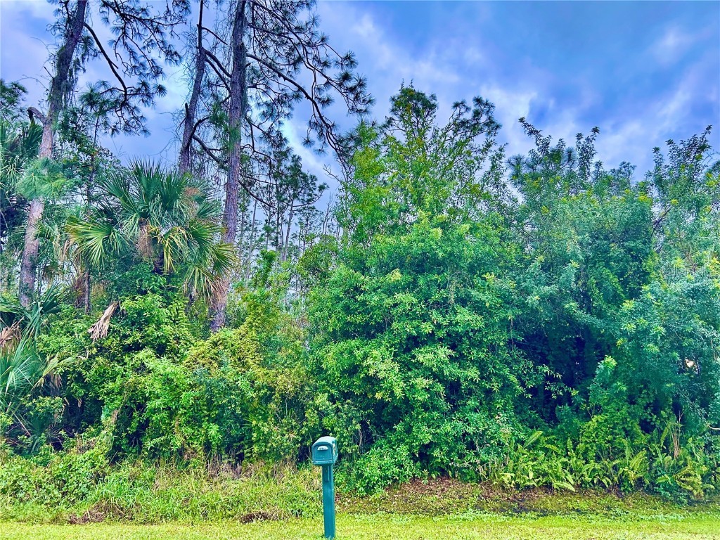 Madagascar Avenue North Port FL 34286 C7506298 image1