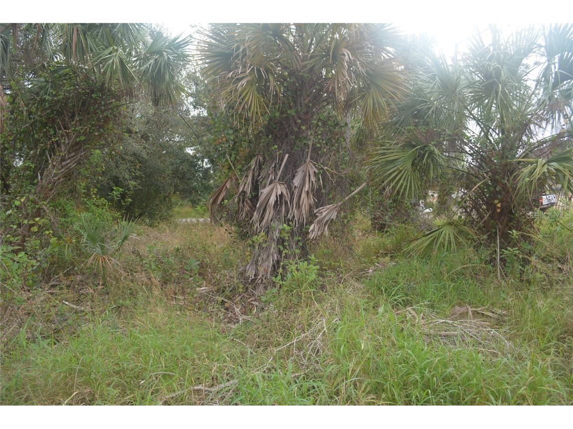 Maddock Circle North Port FL 34286 A4629340 image17