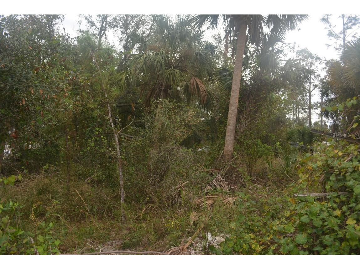 Maddock Circle North Port FL 34286 A4629340 image18