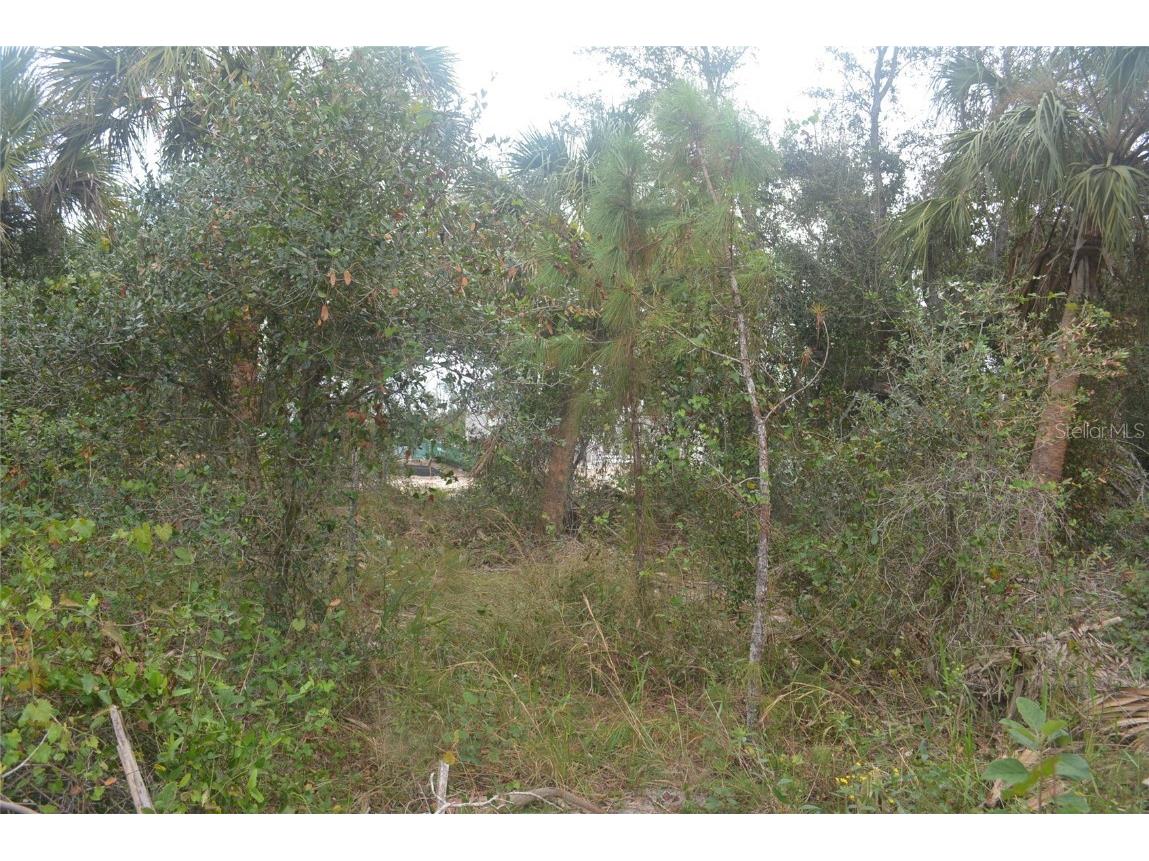 Maddock Circle North Port FL 34286 A4629340 image19