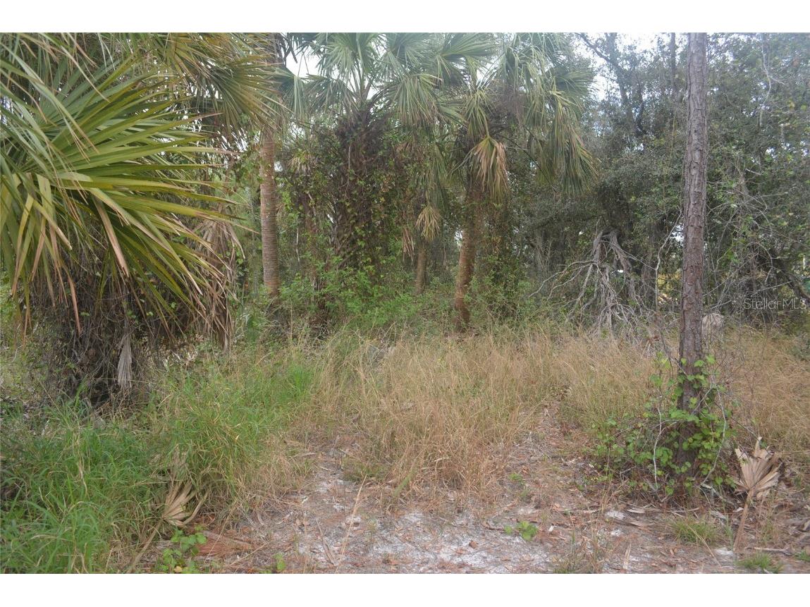 Maddock Circle North Port FL 34286 A4629340 image20