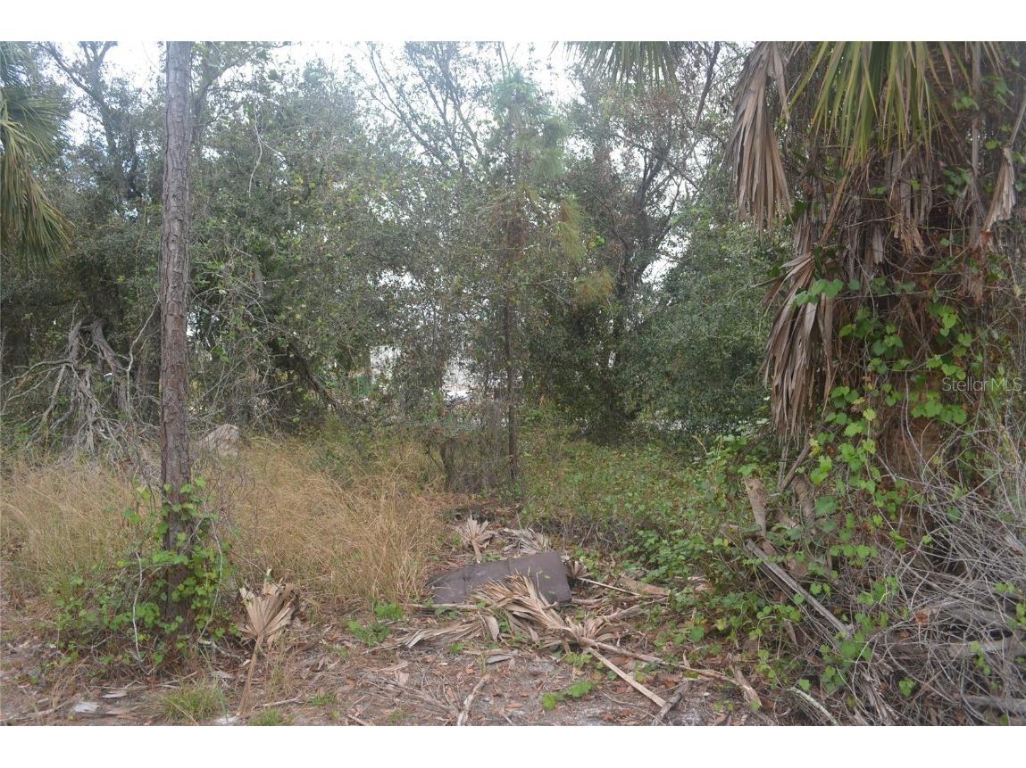 Maddock Circle North Port FL 34286 A4629340 image21