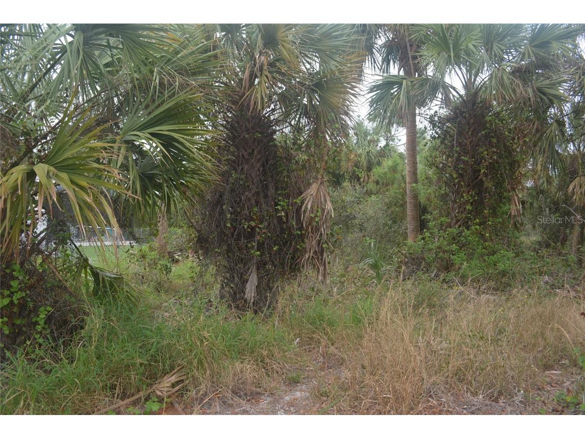 Maddock Circle North Port FL 34286 A4629340 image22