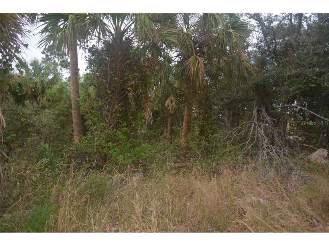 Maddock Circle North Port FL 34286 A4629340 image23