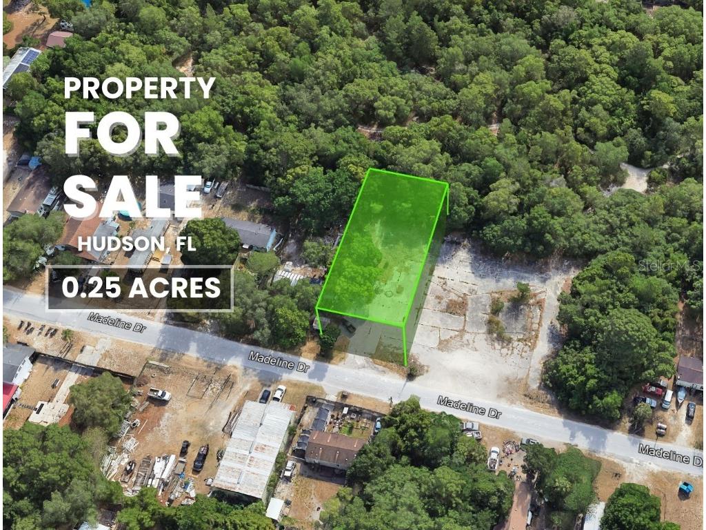 Madeline Drive Hudson FL 34667 TB8432794 image1