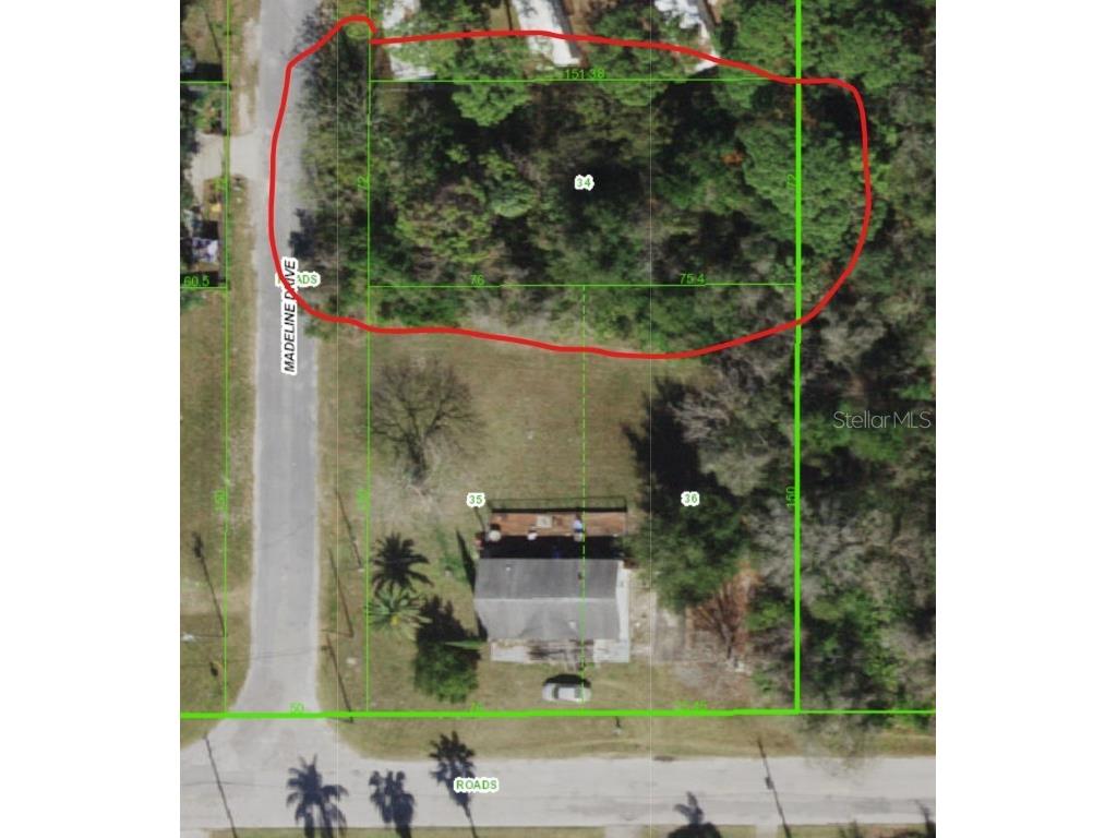 Madeline Hudson FL 34667 W7852854 image1