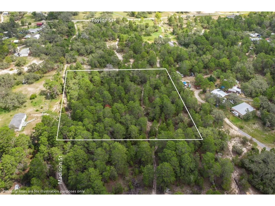 Madison Street Brooksville FL 34613 W7857101 image1