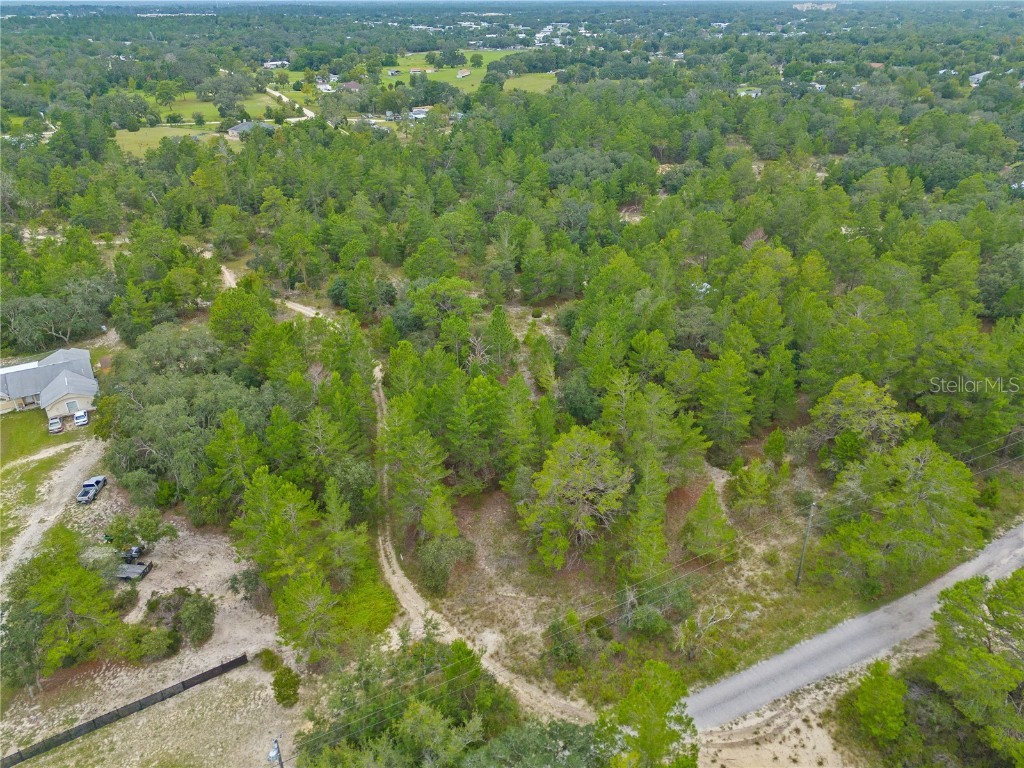 Madison Street Brooksville FL 34613 W7868258 image2