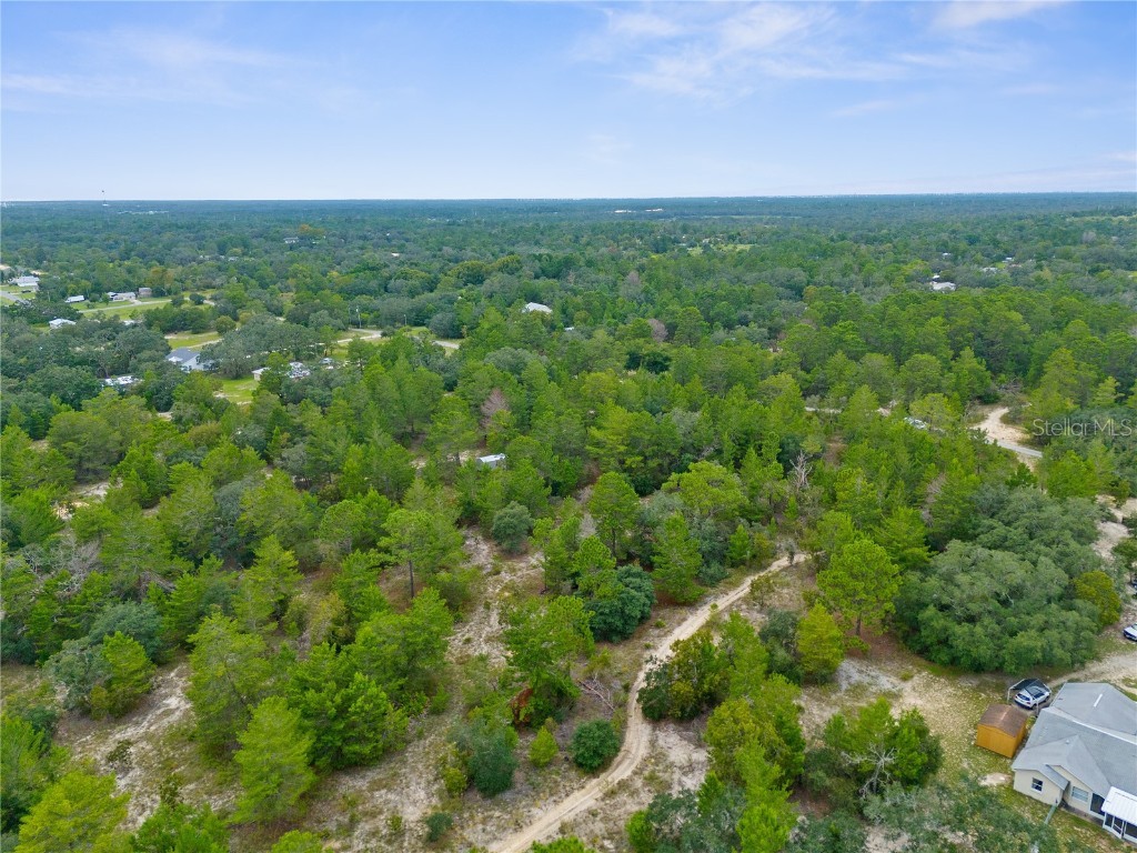 Madison Street Brooksville FL 34613 W7868258 image4