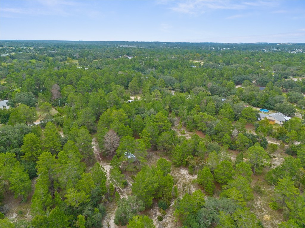 Madison Street Brooksville FL 34613 W7868258 image6