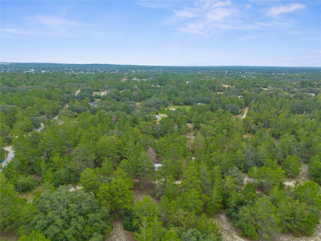 Madison Street Brooksville FL 34613 W7868258 image7