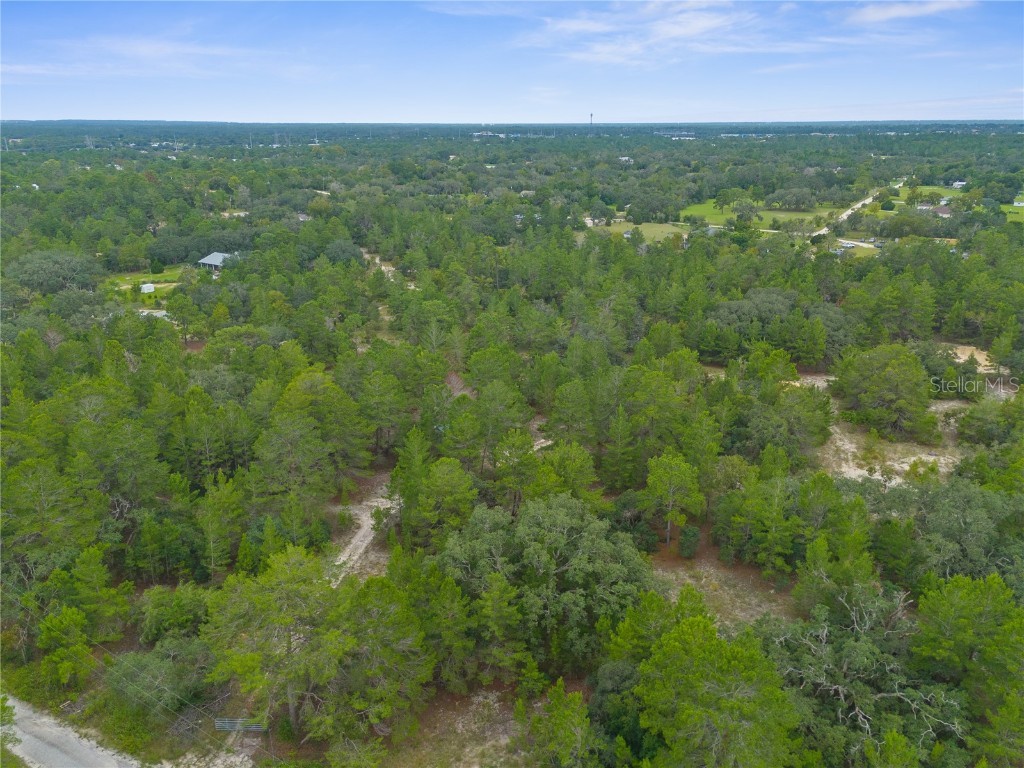 Madison Street Brooksville FL 34613 W7868258 image8