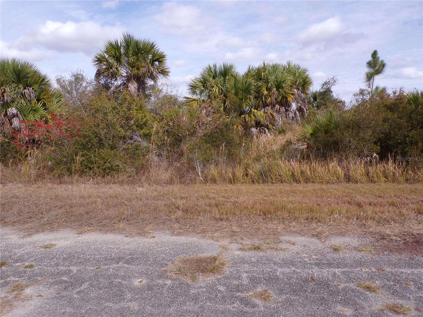 Magellan Street North Port FL 34288 C7520160 image5