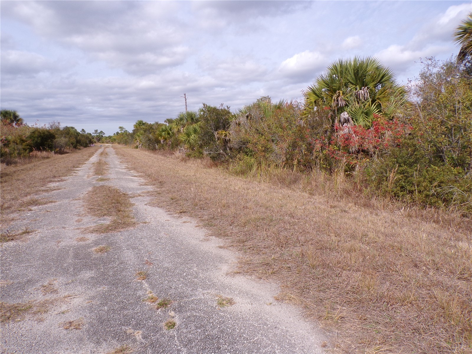 Magellan Street North Port FL 34288 C7520160 image7