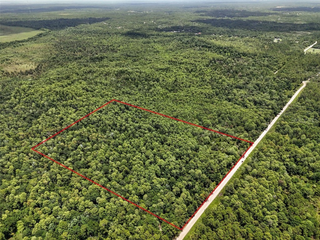 Maggie Jones Road Paisley FL 32767 G5098336 image1