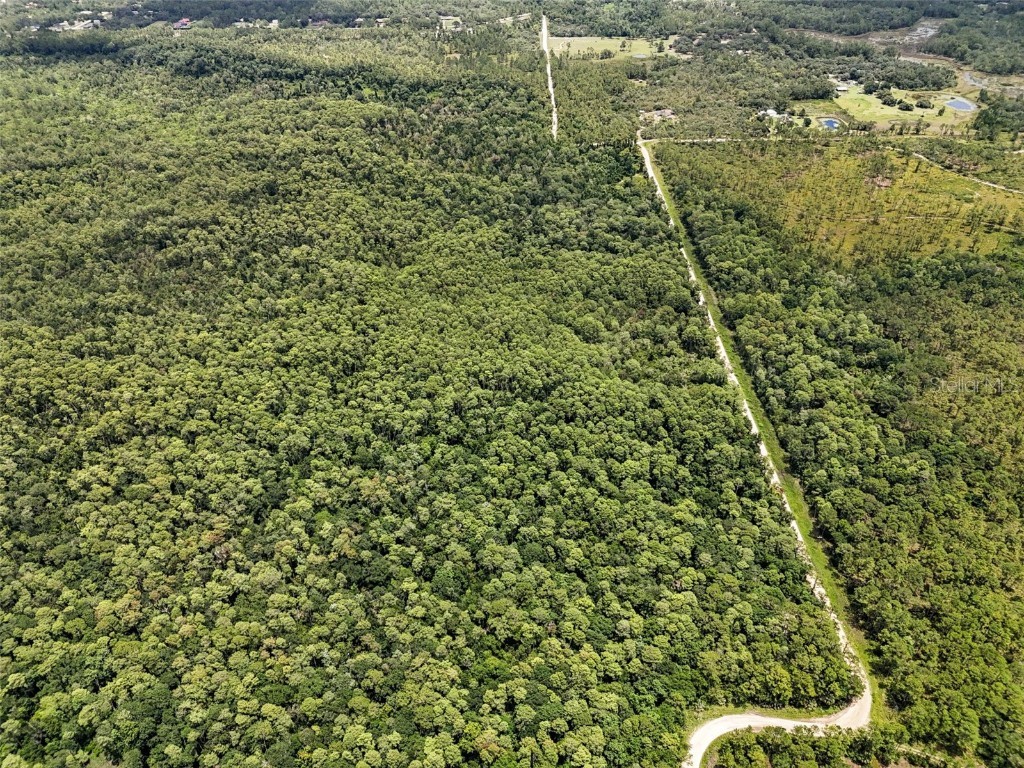 Maggie Jones Road Paisley FL 32767 G5098336 image10