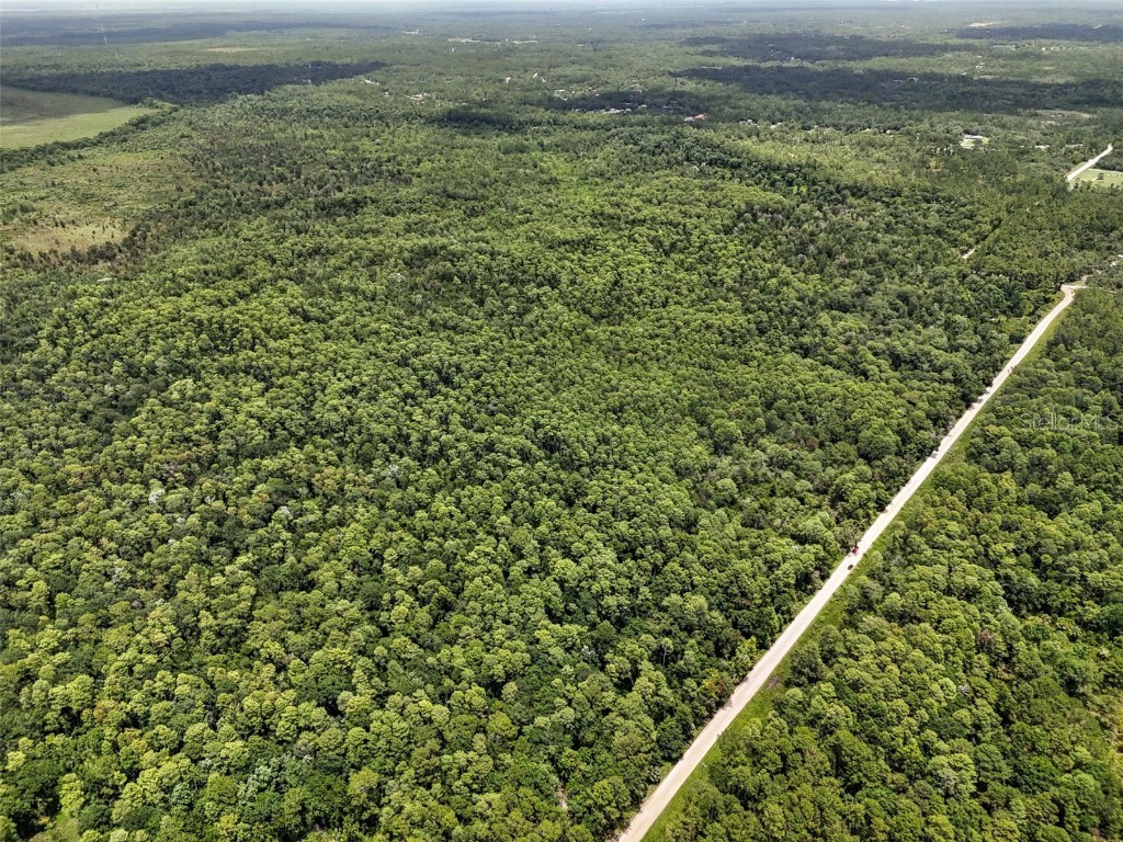 Maggie Jones Road Paisley FL 32767 G5098336 image11