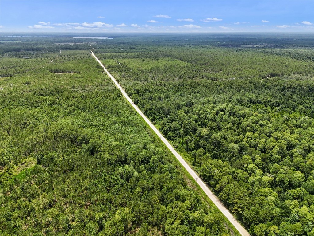 Maggie Jones Road Paisley FL 32767 G5098336 image12