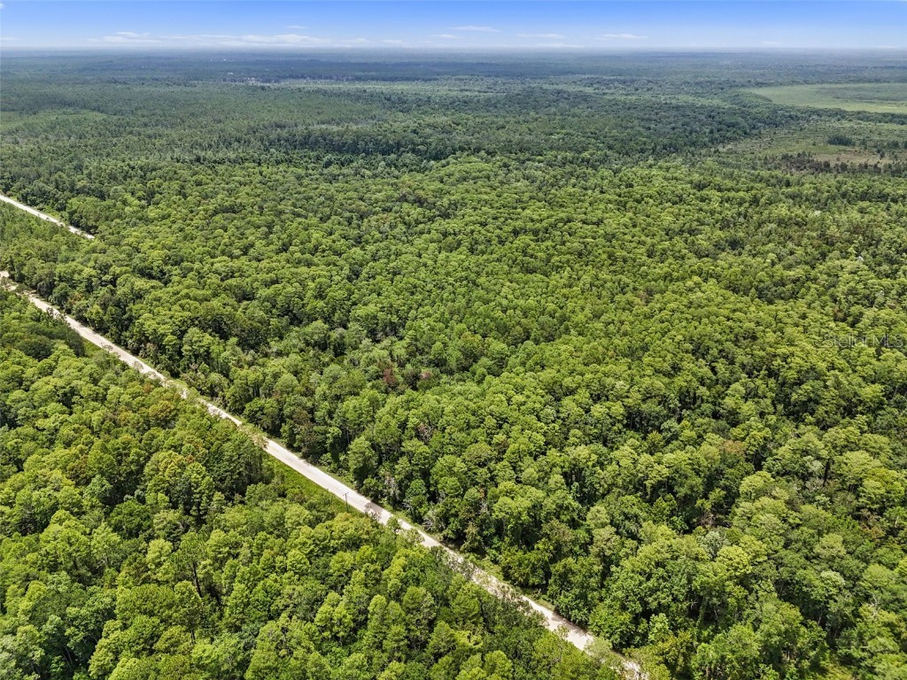 Maggie Jones Road Paisley FL 32767 G5098336 image13