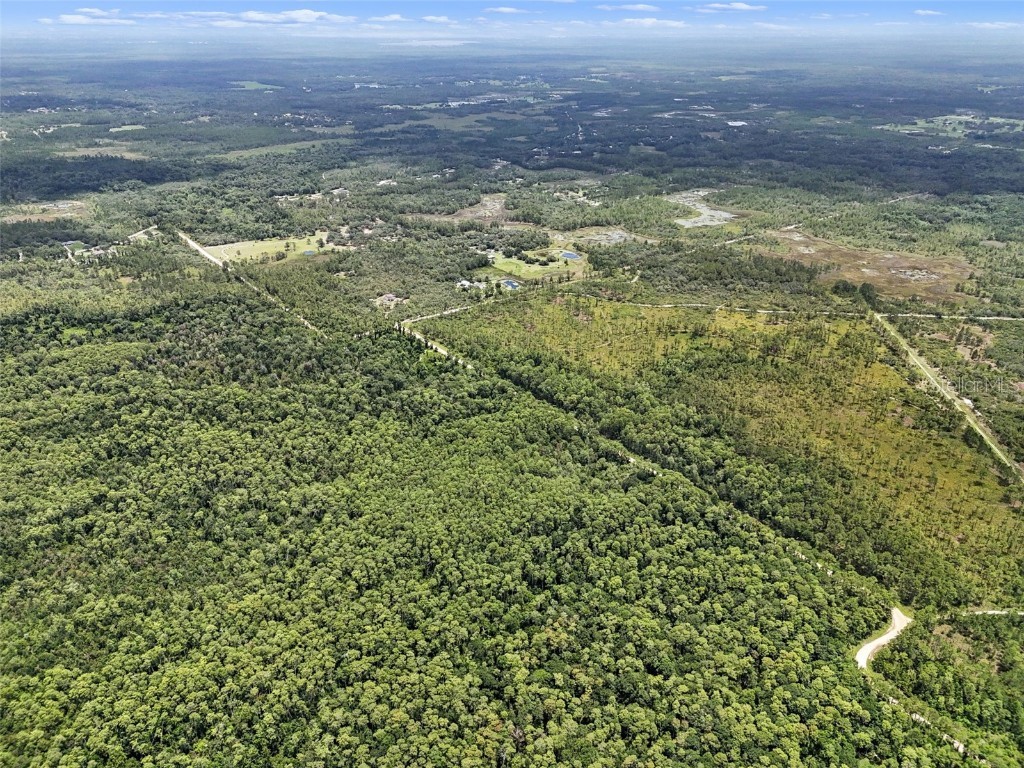 Maggie Jones Road Paisley FL 32767 G5098336 image14