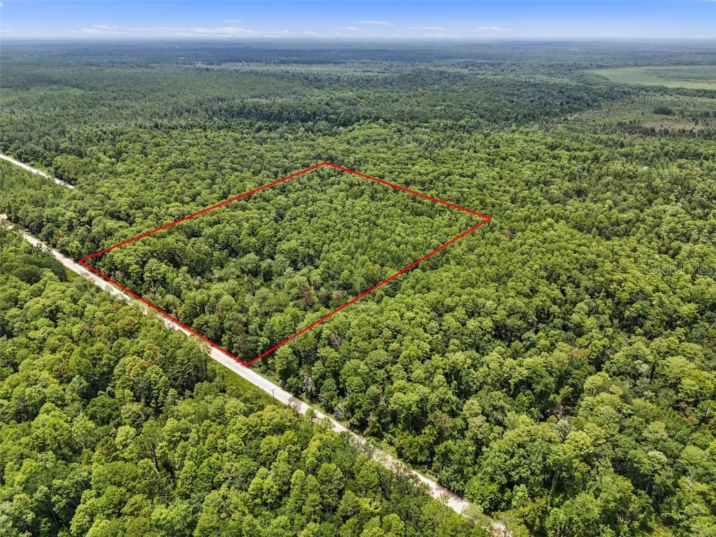 Maggie Jones Road Paisley FL 32767 G5098336 image15