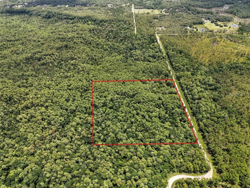 Maggie Jones Road Paisley FL 32767 G5098336 image17