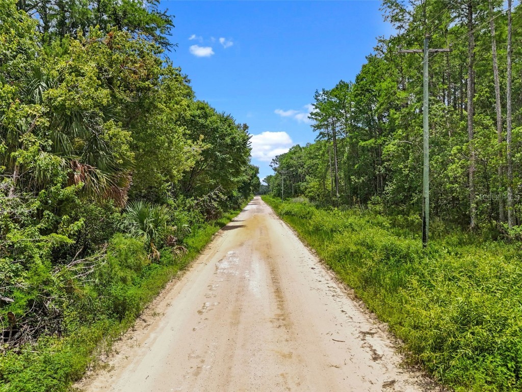 Maggie Jones Road Paisley FL 32767 G5098336 image2