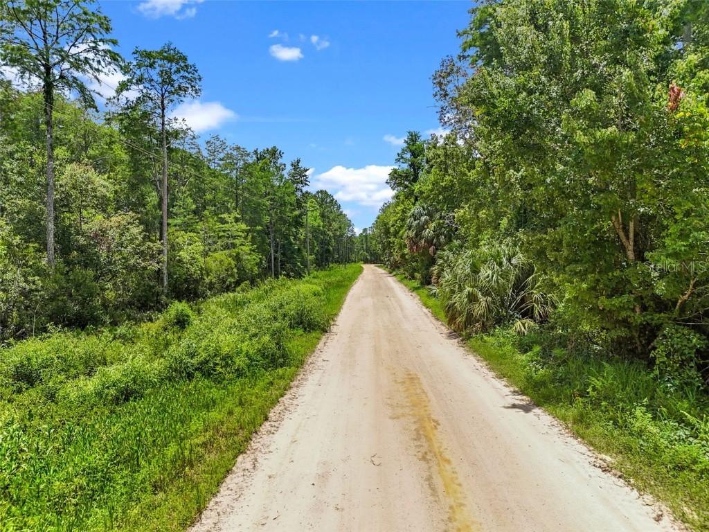 Maggie Jones Road Paisley FL 32767 G5098336 image3