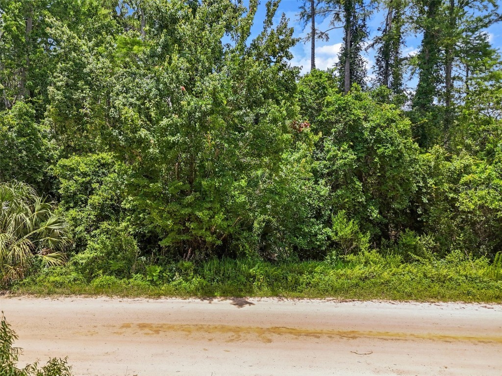 Maggie Jones Road Paisley FL 32767 G5098336 image4