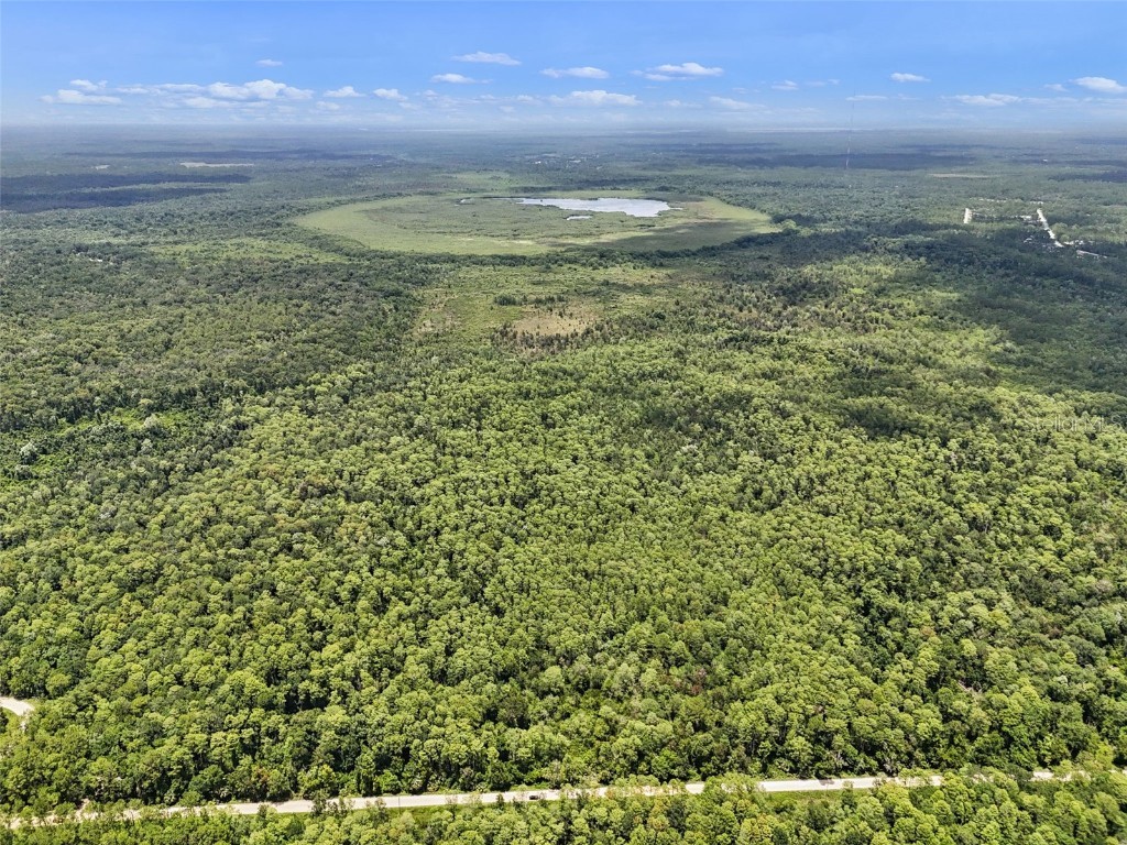 Maggie Jones Road Paisley FL 32767 G5098336 image5