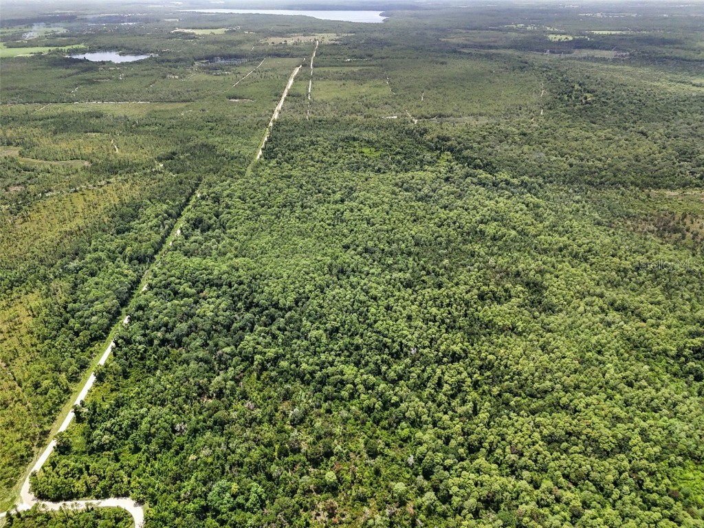 Maggie Jones Road Paisley FL 32767 G5098336 image6