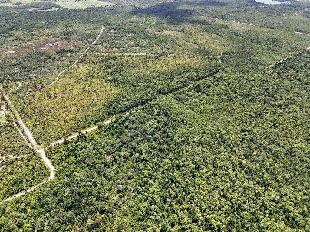 Maggie Jones Road Paisley FL 32767 G5098336 image7