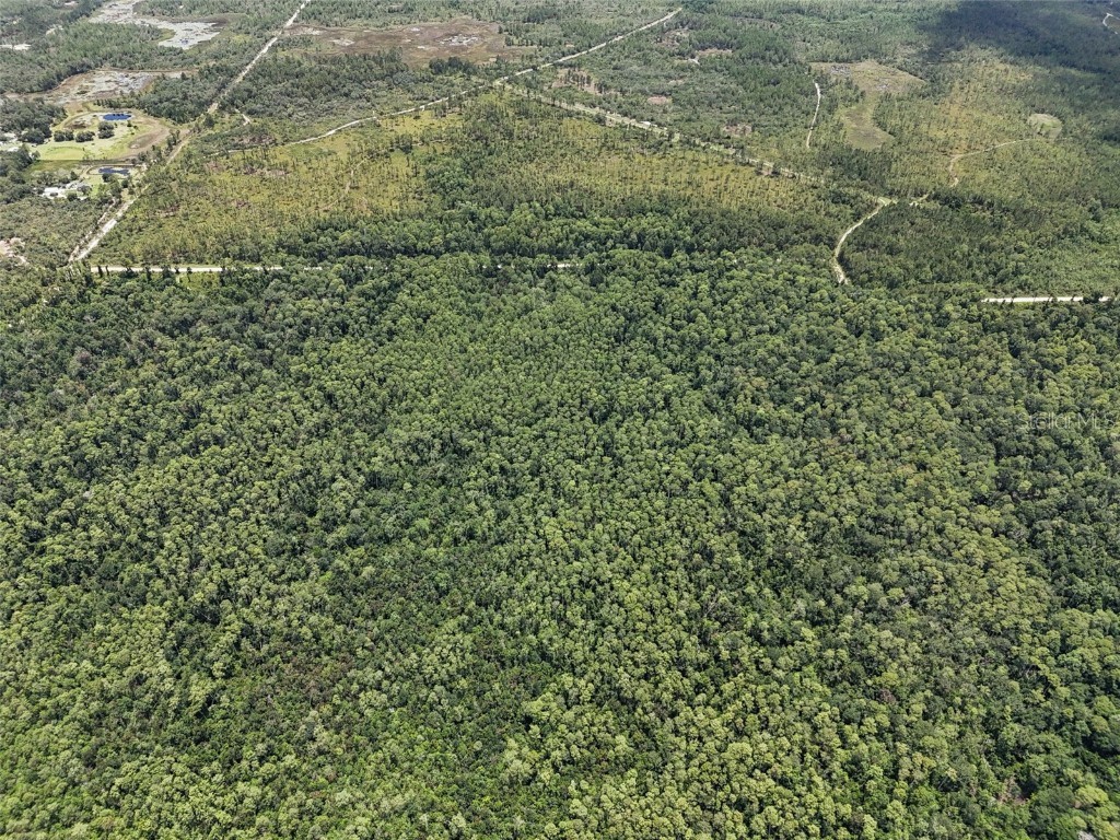 Maggie Jones Road Paisley FL 32767 G5098336 image8