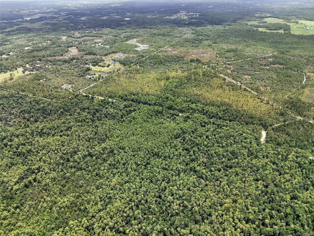 Maggie Jones Road Paisley FL 32767 G5098336 image9