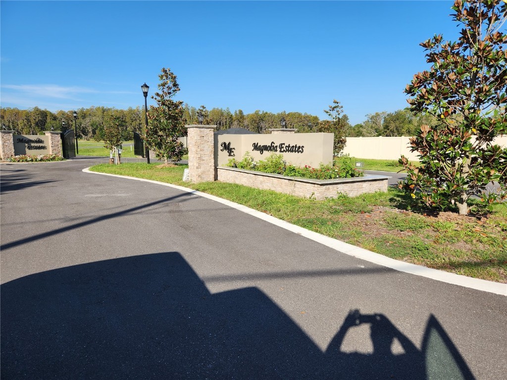 Magnolia Acres Court Lutz FL 33549 T3460960 image1