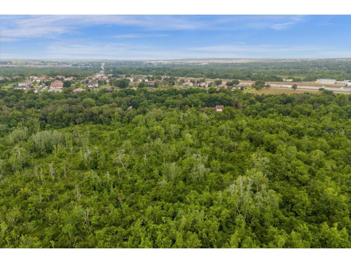 Magnolia Creek Lane Montverde FL 34756 - LAKE APOPKA O6203457 image10