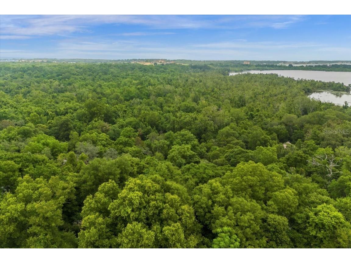 Magnolia Creek Lane Montverde FL 34756 - LAKE APOPKA O6203457 image11