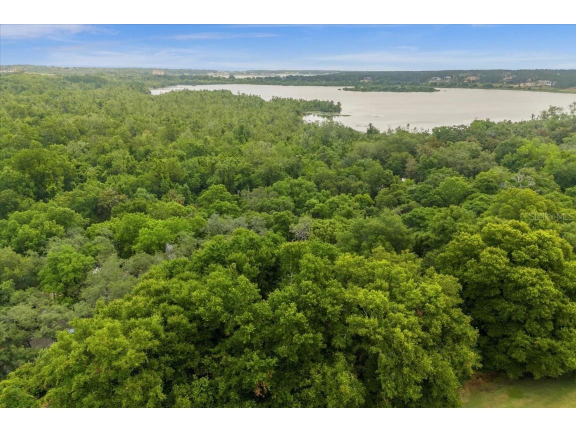 Magnolia Creek Lane Montverde FL 34756 - LAKE APOPKA O6203457 image12