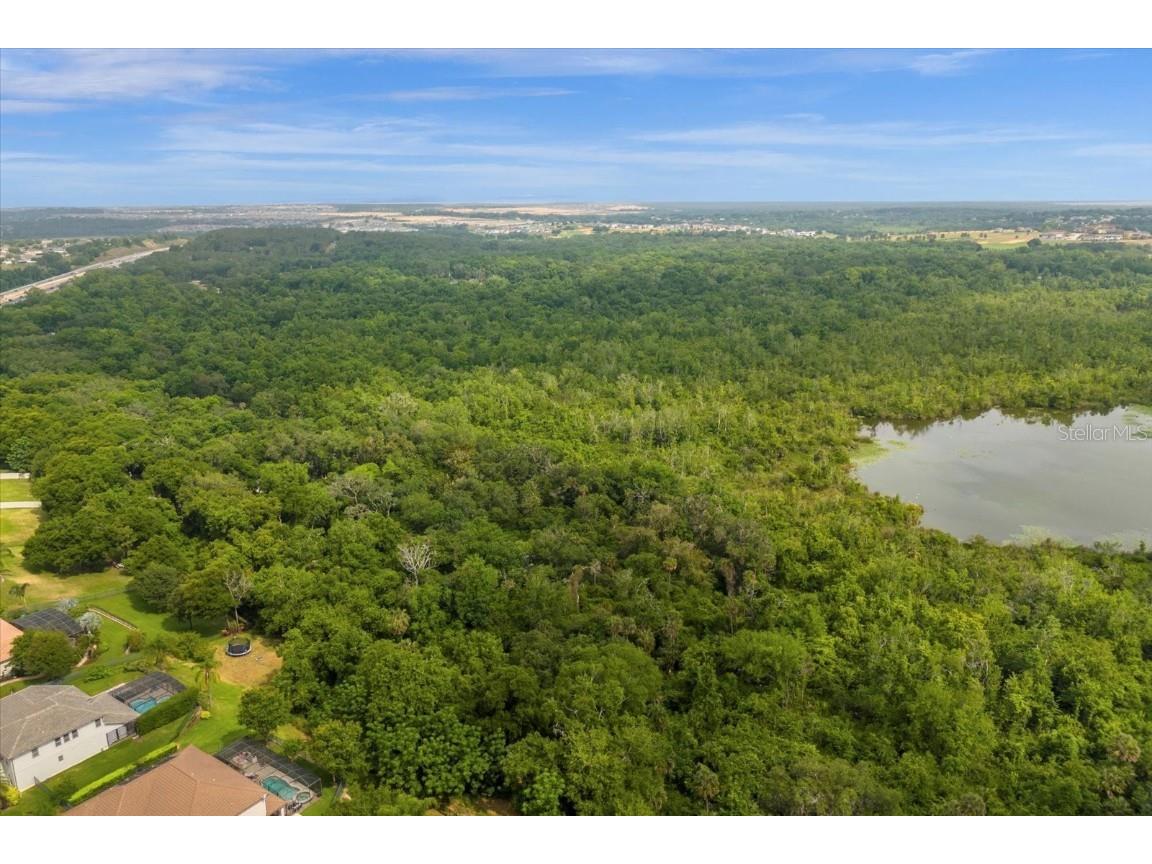 Magnolia Creek Lane Montverde FL 34756 - LAKE APOPKA O6203457 image15