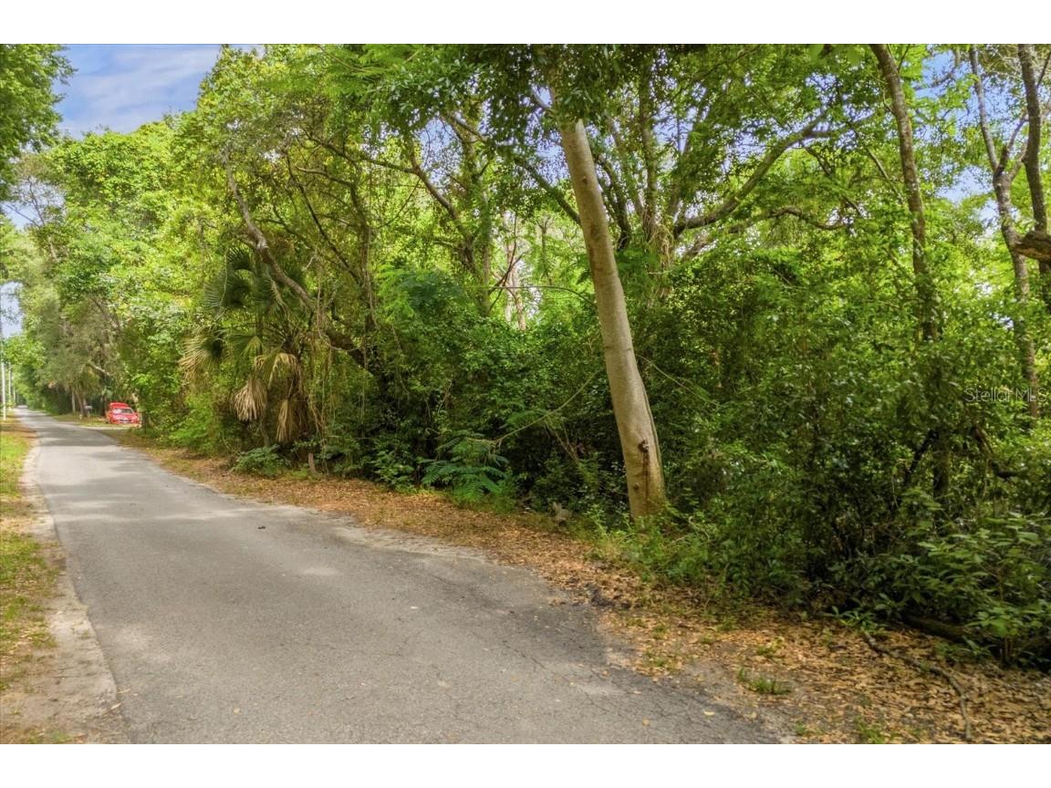 Magnolia Creek Lane Montverde FL 34756 - LAKE APOPKA O6203457 image16