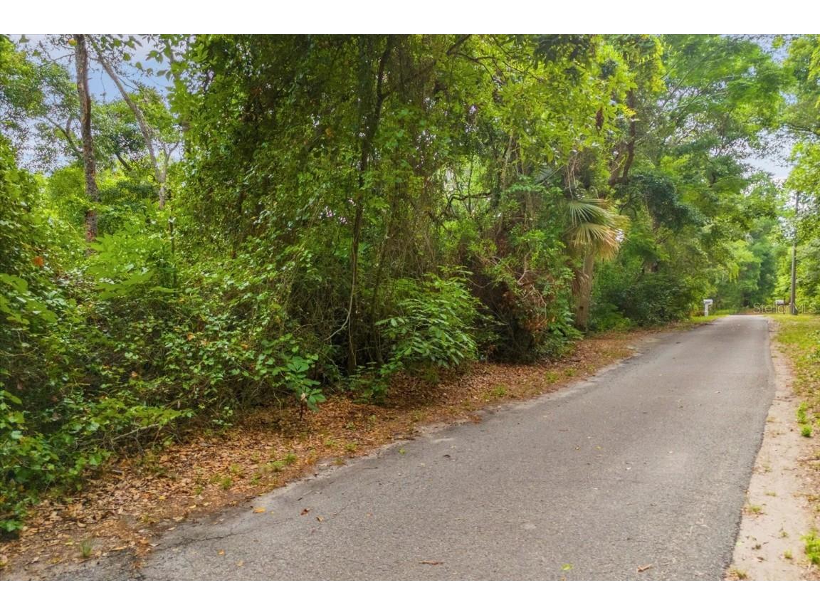 Magnolia Creek Lane Montverde FL 34756 - LAKE APOPKA O6203457 image17